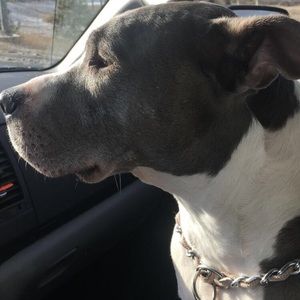 Meet your Posher, Desire